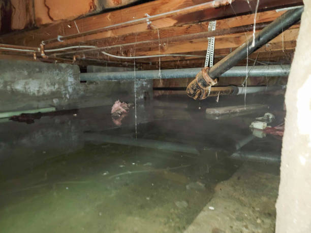 Best Residential water damage restoration  in St Joseph, MO