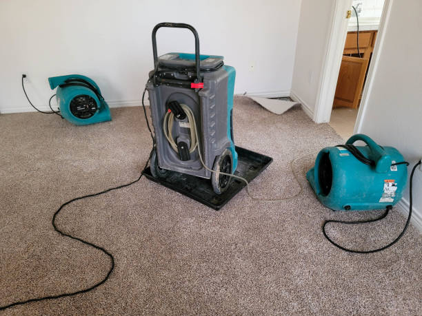 Best Water damage restoration insurance claims  in St Joseph, MO