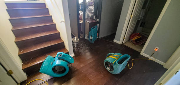 Best Water damage restoration near me  in St Joseph, MO
