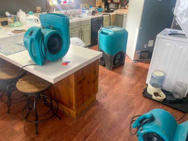 Best Water damage restoration near me  in St Joseph, MO