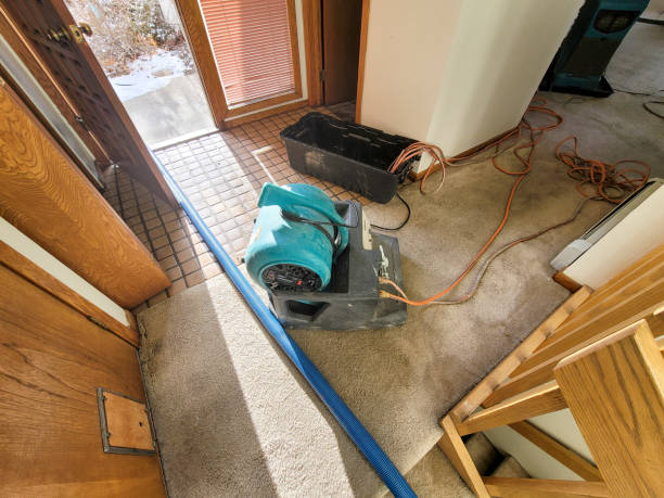 Best 24-hour water damage restoration  in St Joseph, MO