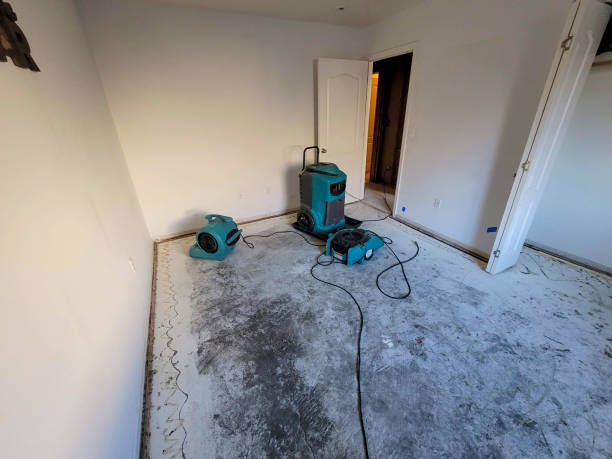 Best Water damage restoration mold remediation  in St Joseph, MO