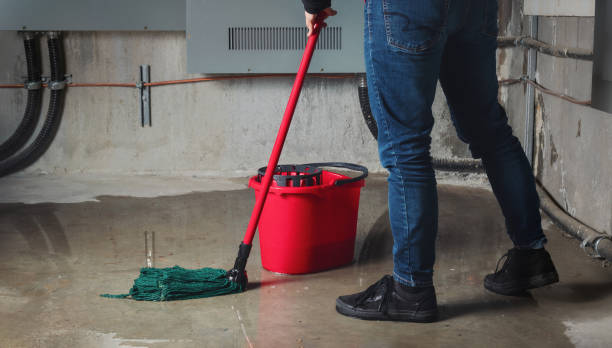 Best Water damage restoration services  in St Joseph, MO