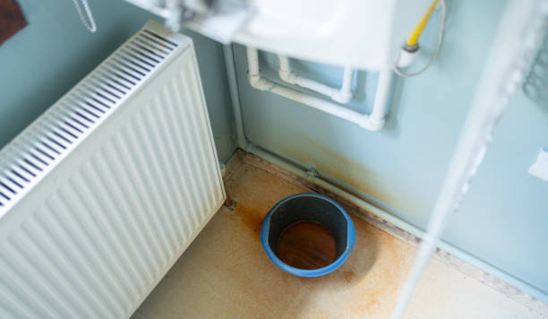 Best Ceiling water damage repair  in St Joseph, MO