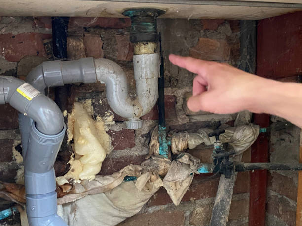 Best Carpet water damage restoration  in St Joseph, MO