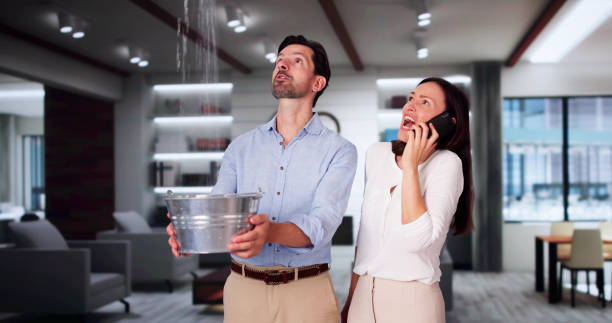 Best Water damage restoration near me  in St Joseph, MO