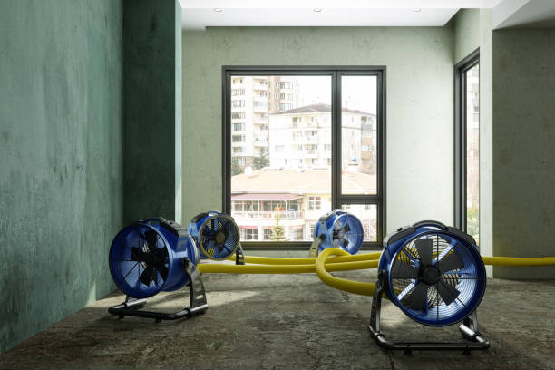 Best Sewage cleanup and water damage restoration  in St Joseph, MO